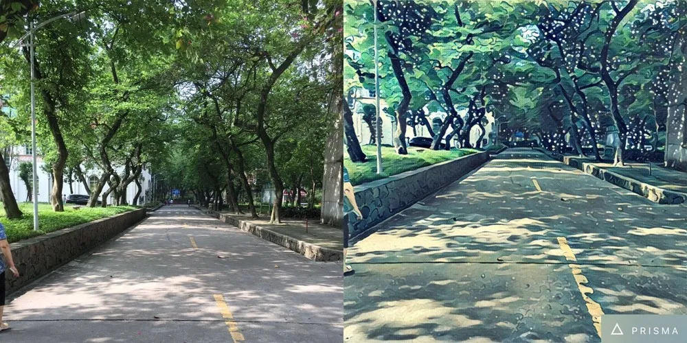 Prisma2026���°汾