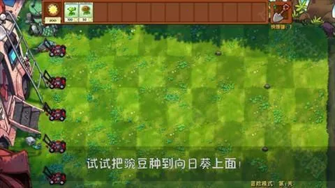 植物大战僵尸 植物大战僵尸