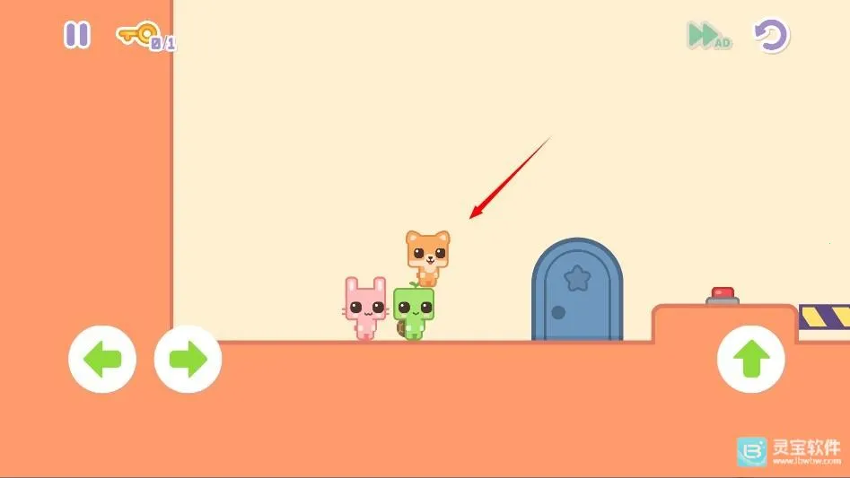 猫猫公园 猫猫公园