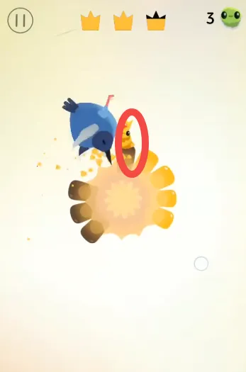 pigeon疯狂的鸽子 pigeon疯狂的鸽子