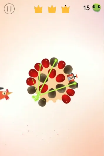 pigeon疯狂的鸽子 pigeon疯狂的鸽子