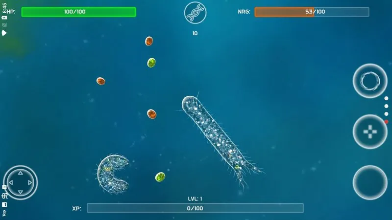 ���ӵ���Դ2026���°汾v40.54 ��Ѱ��ͼ