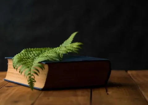 追阅小说 追阅小说