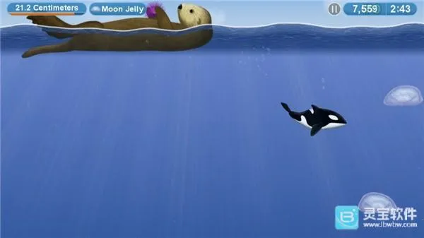 ��ζ����42026�ٷ�����