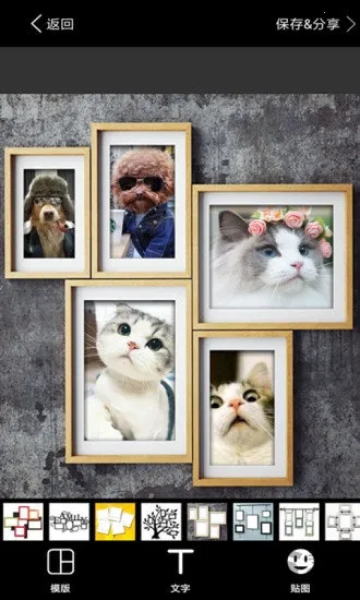 ��Ƭƴͼ2026���ذ�װv3.8 �ٷ������ͼ