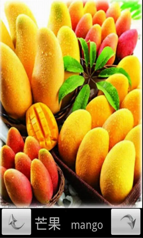 ������ͼʶ��v5.31.2111b �ֻ����ͼ