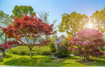 ����԰��2026�ٷ����°汾