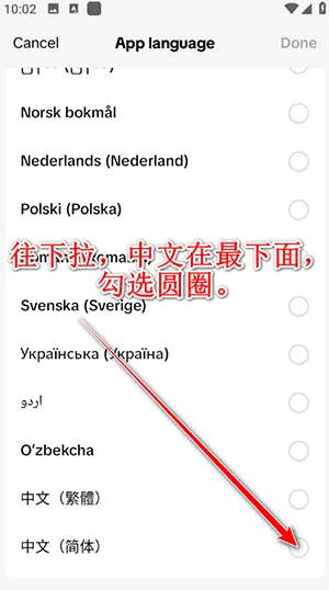 TikTok���������