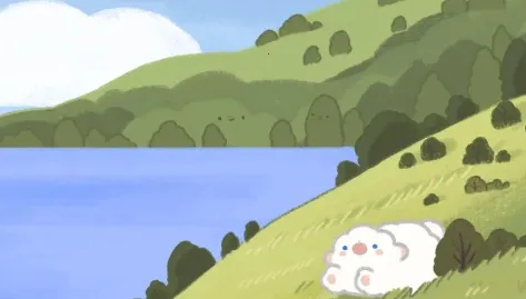 Ƥ��������ֽ2026�ٷ����°汾