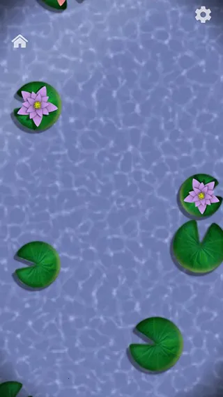 解压盒子 解压盒子