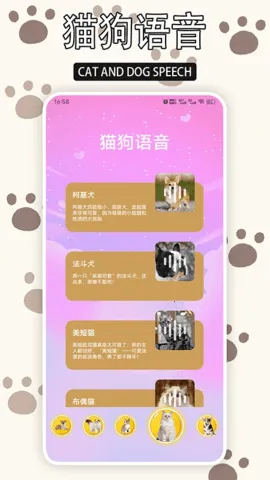 ����è2026�ٷ�����v1.9 ��׿���ͼ