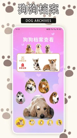 ����è2026�ٷ�����v1.9 ��׿���ͼ