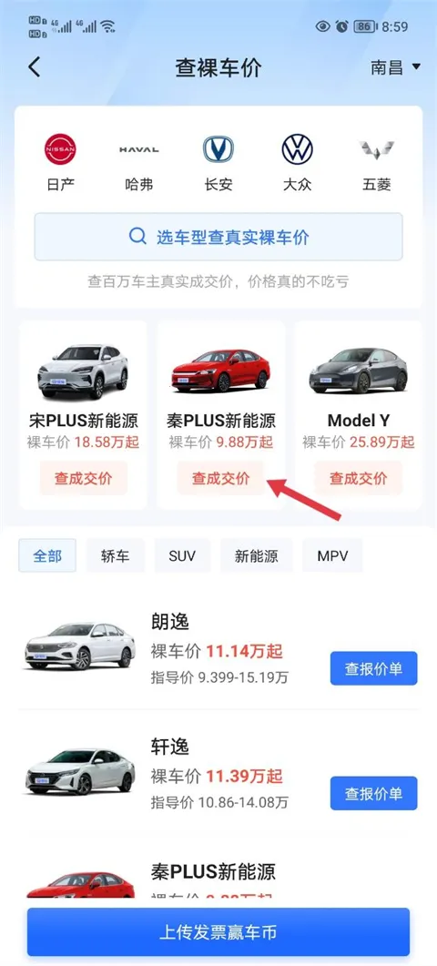 �׳���������