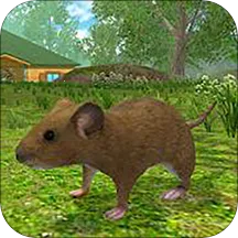 �����ð���ƽ��