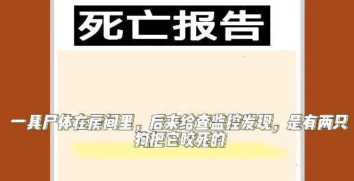 小猪佩奇的午夜后宫汉化版安卓版手机版 小猪佩奇的午夜后宫汉化版安卓版手机版