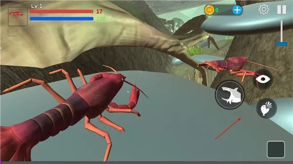 ���״���ɱ������