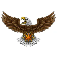 ��ӥTV(Ӱ��׷��ƽ̨)v8.7 �ٷ�����