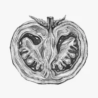 θ֮��(AI��ʳ����)v2.0.1 ��Ѱ�