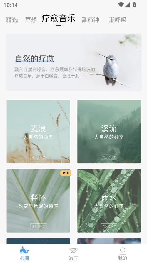 心潮减压(心理健康应用) 心潮减压(心理健康应用)