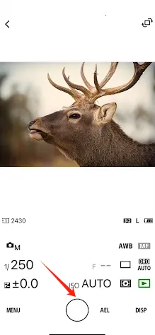 Creators(����ٿ�����)