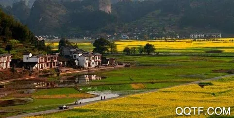 新新宁(地方综合服务应用查看) 新新宁(地方综合服务应用查看)