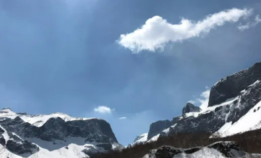 B12相机(美颜拍照相机) B12相机(美颜拍照相机)