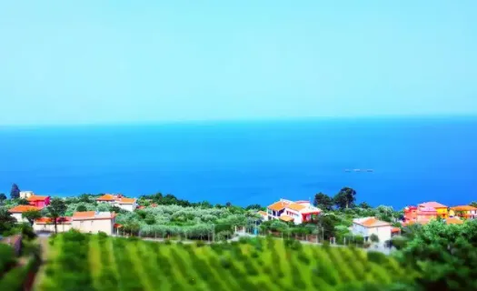 B12相机(美颜拍照相机) B12相机(美颜拍照相机)