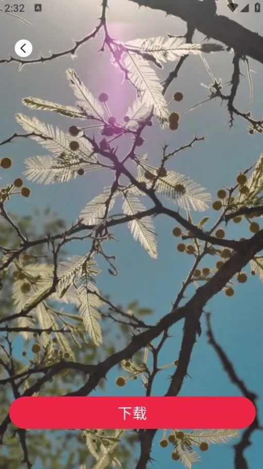 tibni���ʰ�����v1.0.0 �ֻ����ͼ