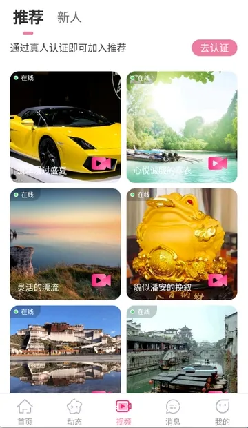 �����(�罻��������)