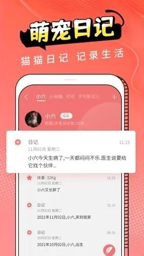 Cat Translation��׿���ֻ���