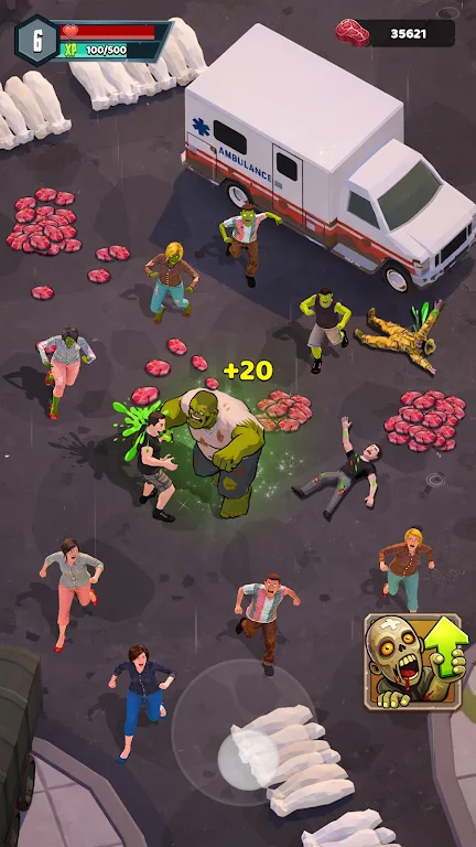 ɥʬ����2026���°汾v0.0.3 �ֻ����ͼ