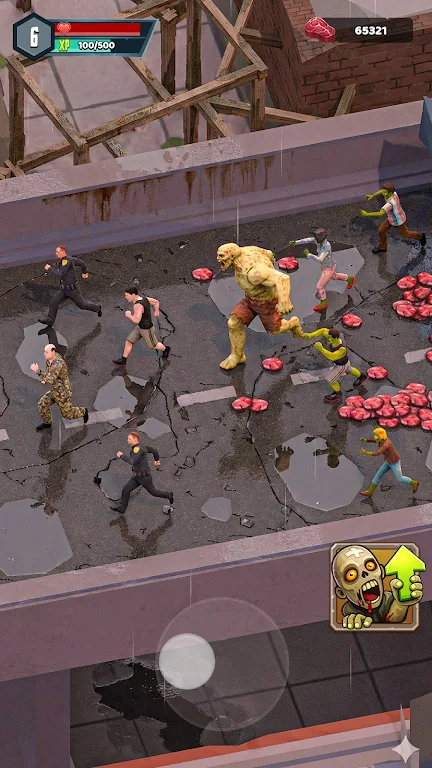 ɥʬ����2026���°汾v0.0.3 �ֻ����ͼ