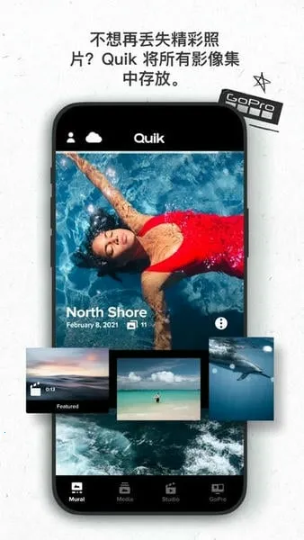 goproquik��׿���ֻ���