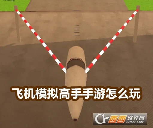 �ɻ�ģ������ƽ�����޽��