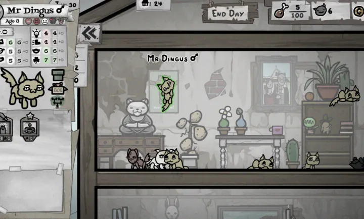 �����Ľ�ϣ�����PC���԰�2026�ٷ�����v1.0 ��׿���ͼ