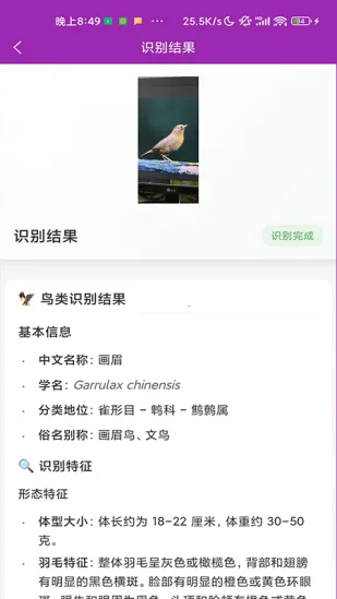 ʶ��(����ʶ�𹤾�)v1.1.0 �ֻ����ͼ