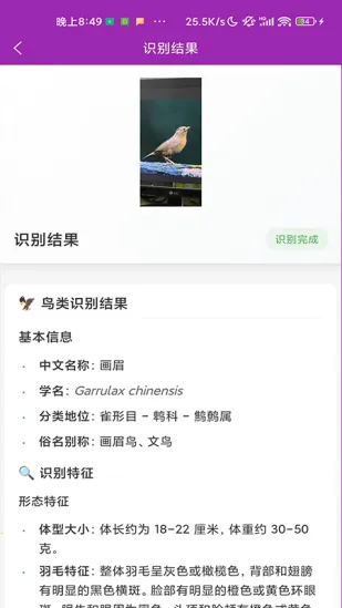 ʶ��(����ʶ�𹤾�)v1.1.0 �ֻ����ͼ