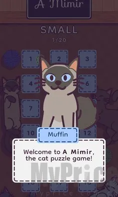 ���׶�2026�ٷ�����