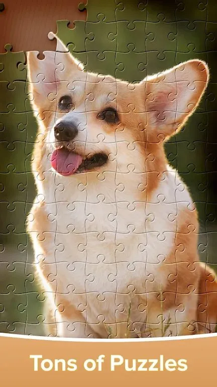 ƴͼ��Ϸ�󴳹�2026�ٷ����°汾v4.4.16 �ֻ����ͼ