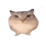 �ͰͲ�һ2026�ٷ����°汾v1.0 �ٷ�����