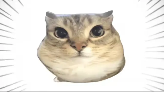 �ͰͲ�һ2026�ٷ����°汾v1.0 �ٷ������ͼ