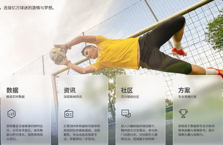 百分球看球网(体育赛事分析) 百分球看球网(体育赛事分析)