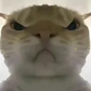 �������ж����󹤾�(�������ж�����)v1.0 �ٷ�����