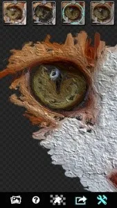 Glaz�ͻ��˾�2026�ٷ�����v2.3.4 ��Ѱ��ͼ