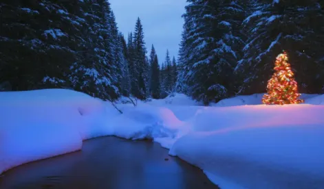 Ĵָ��ֽ(��ֽ��������)