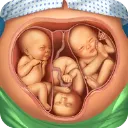 ҽԺ����ʱ��2026�ٷ����°汾