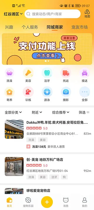 ������(�ǻ�����)