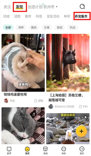 ������(�ǻ�����)