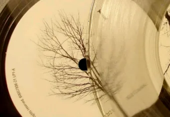 全民音乐播放器2026下载安装 全民音乐播放器2026下载安装