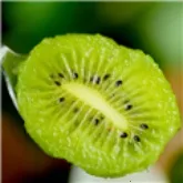 ��⨺���TV2026���ذ�װv9.9.9 ��׿��